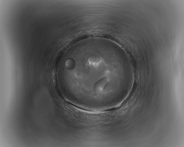X0000114671010200910211146