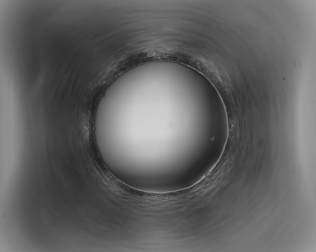X0000114671012200910211146