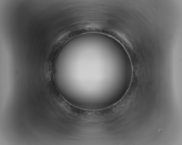 X0000114671015200910211146
