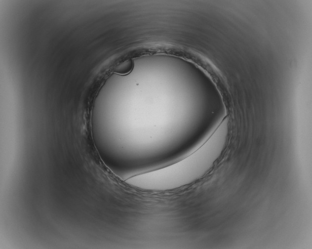 X0000114671016200910211146