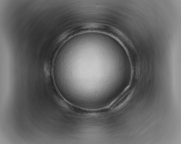 X0000114671017200910211146