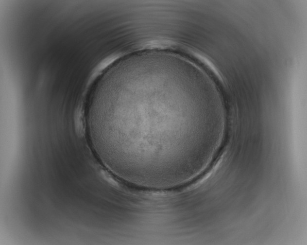 X0000114671018200910211146
