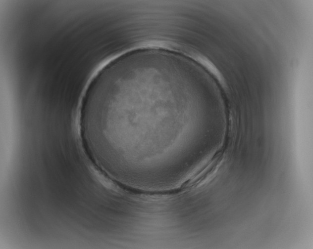 X0000114671020200910211146