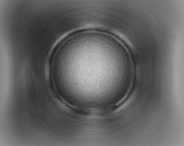 X0000114671021200910211146