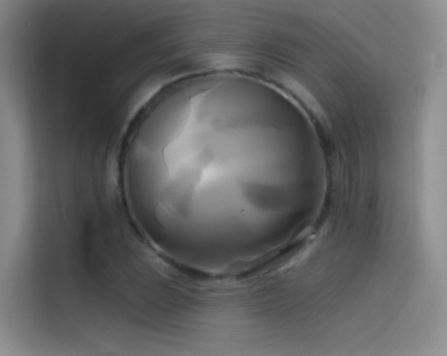 X0000114671023200910211146