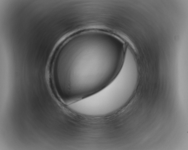 X0000114671024200910211146