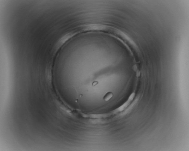 X0000114671025200910211146