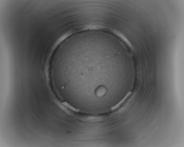 X0000114671026200910211146