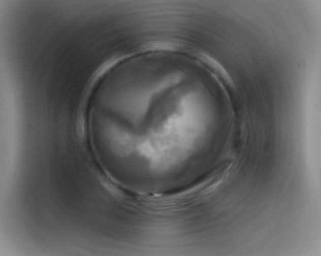 X0000114671027200910211146
