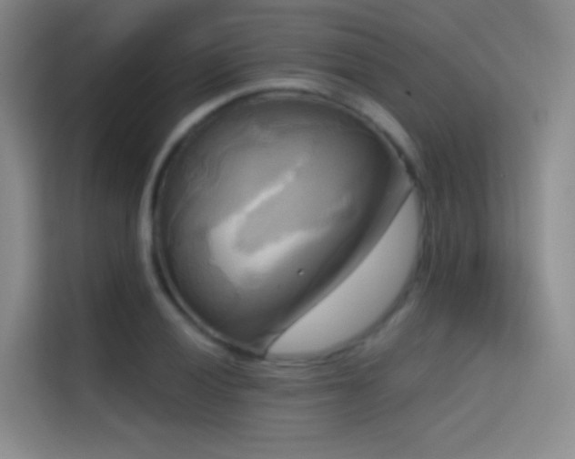 X0000114671028200910211146