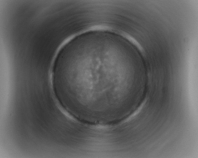X0000114671029200910211146
