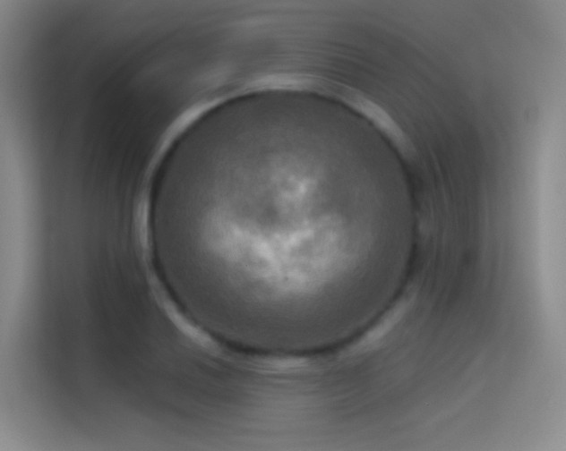 X0000114671030200910211146