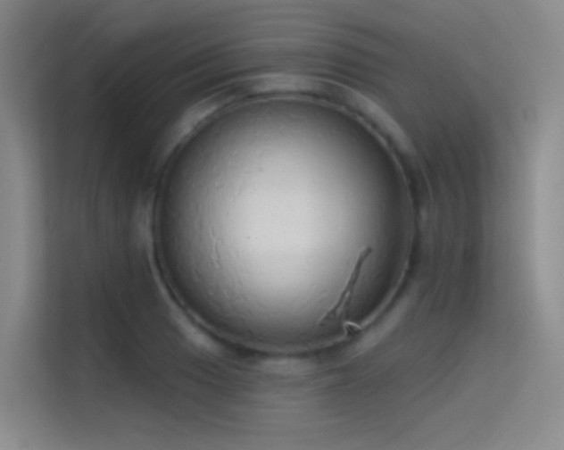 X0000114671033200910211146