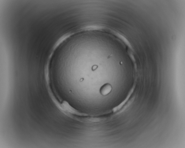 X0000114671034200910211146