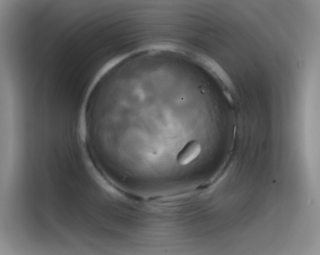 X0000114671036200910211146