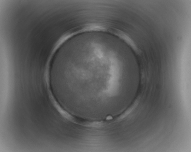 X0000114671038200910211146