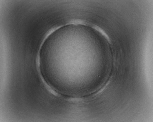 X0000114671040200910211146