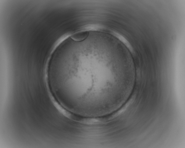 X0000114671042200910211146