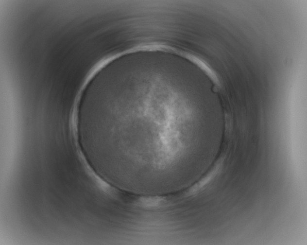 X0000114671046200910211146