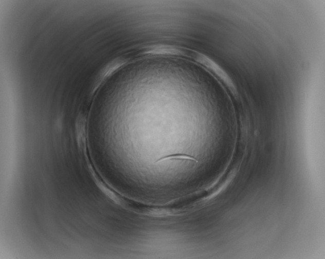 X0000114671049200910211146