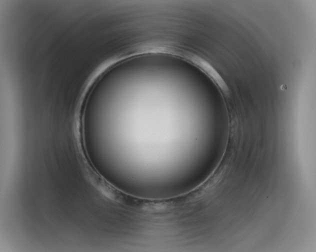 X0000114671051200910211146