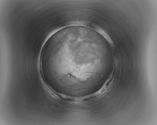 X0000114671052200910211146