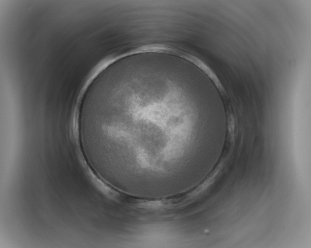 X0000114671054200910211146