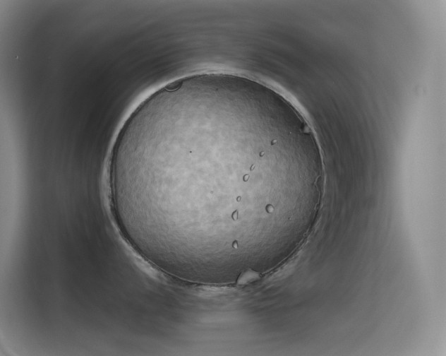 X0000114671056200910211146