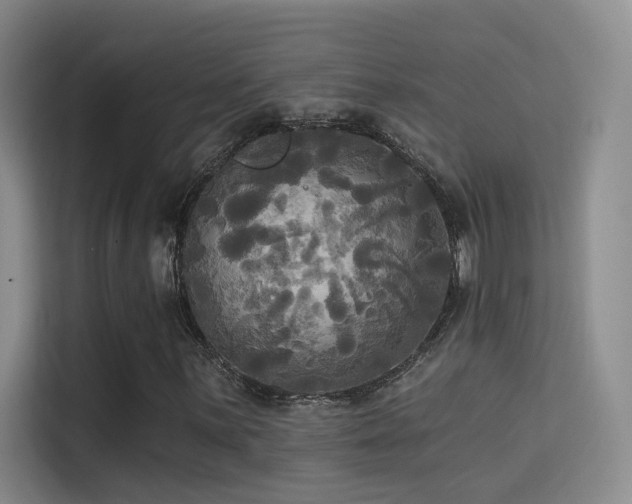 X0000114671059200910211146