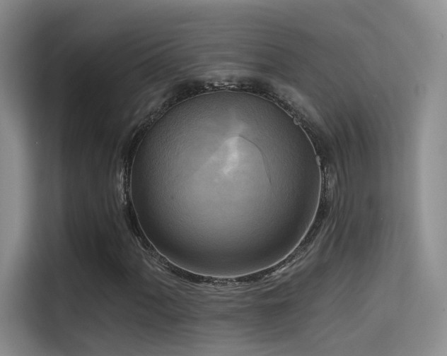 X0000114671060200910211146