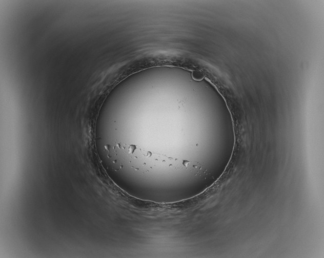 X0000114671061200910211146