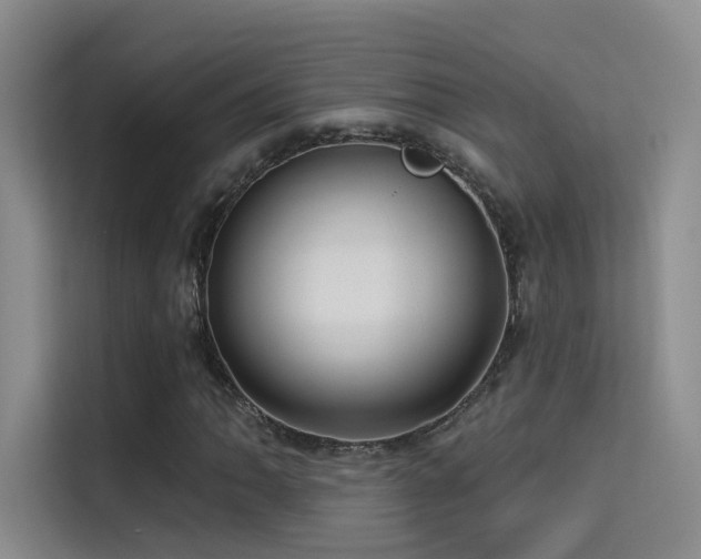 X0000114671062200910211146