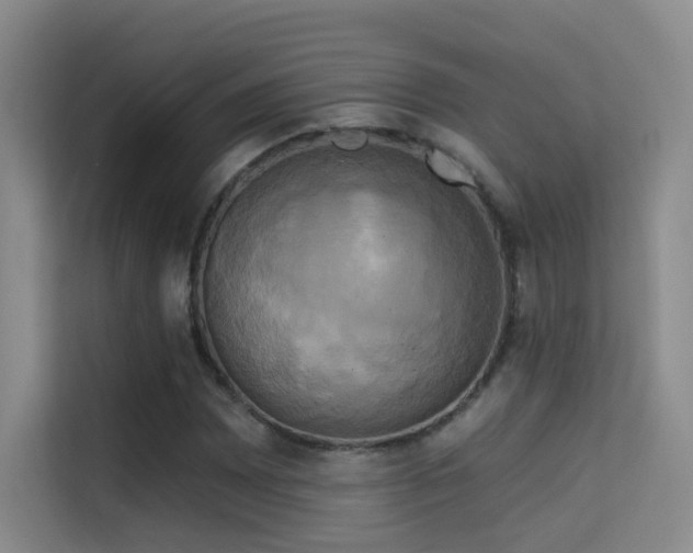 X0000114671065200910211146