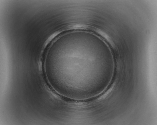 X0000114671066200910211146