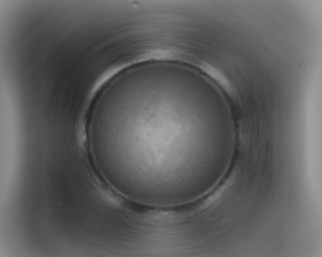 X0000114671070200910211146
