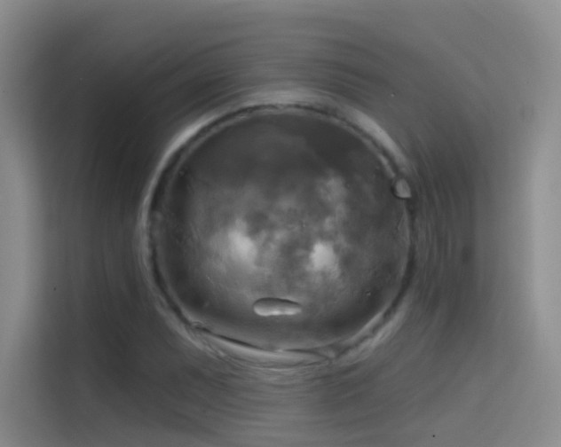 X0000114671071200910211146