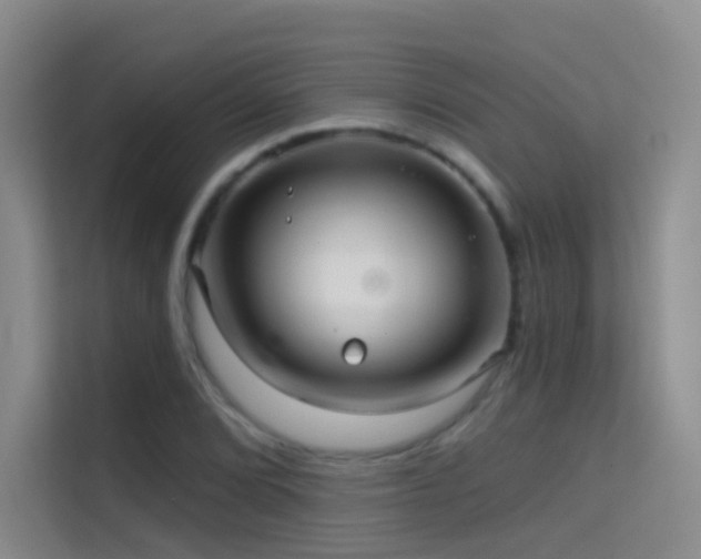 X0000114671072200910211146