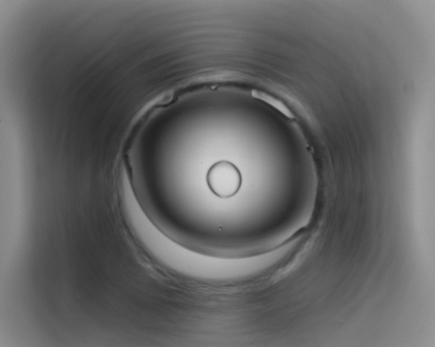 X0000114671073200910211145