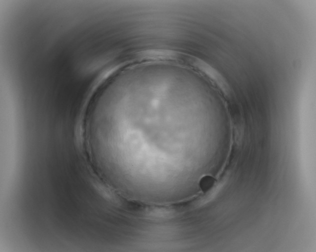 X0000114671074200910211145