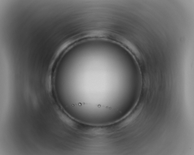 X0000114671075200910211145