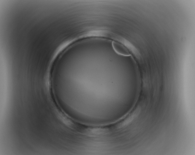 X0000114671077200910211145
