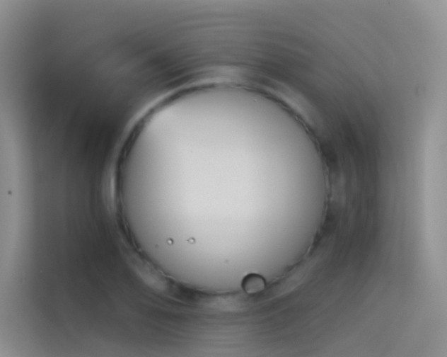 X0000114671078200910211145