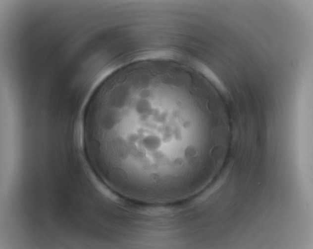 X0000114671079200910211145