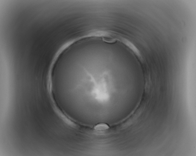 X0000114671080200910211145