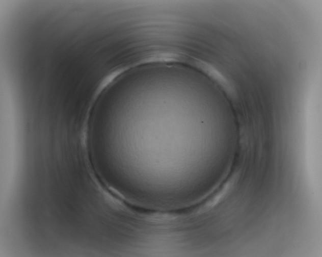 X0000114671081200910211145