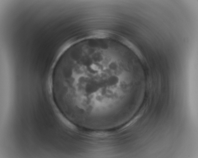 X0000114671083200910211145