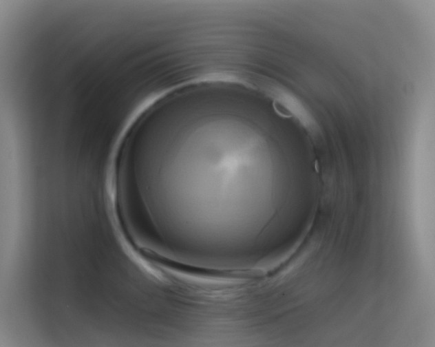 X0000114671084200910211145