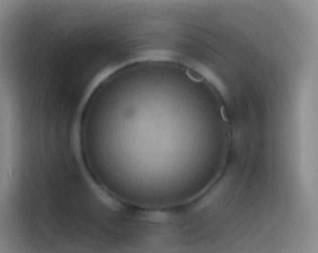 X0000114671085200910211145