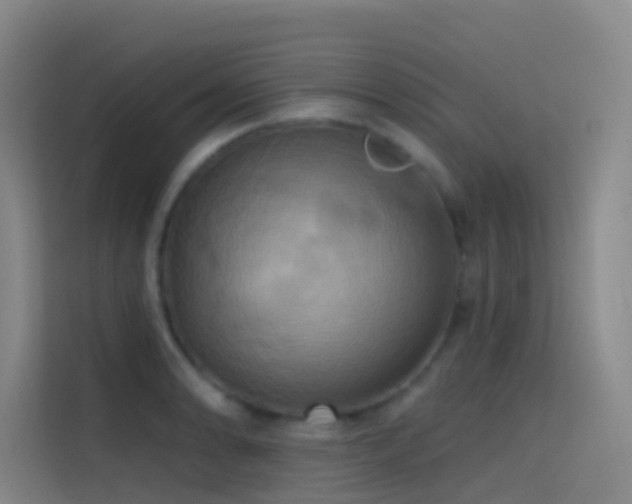 X0000114671086200910211145