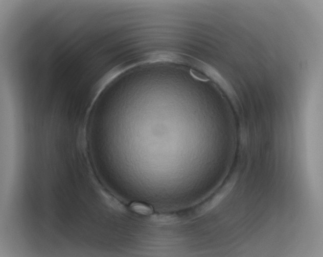 X0000114671089200910211145